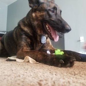 Meet your Posher, Danielle